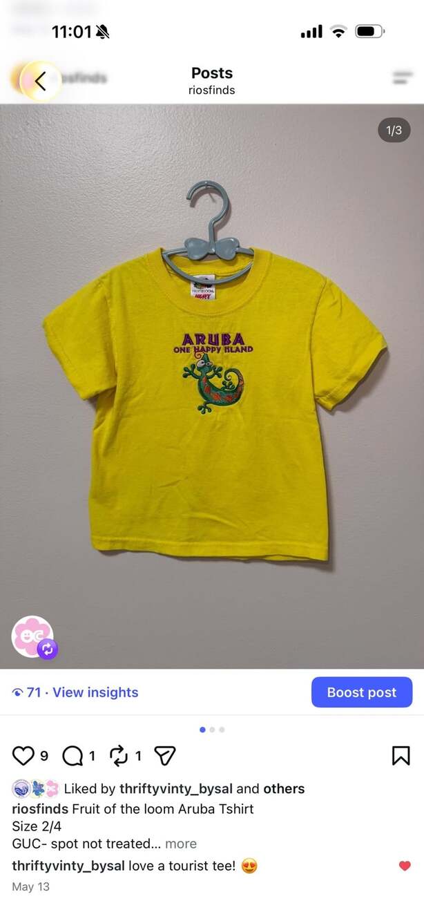 Fruit of the Loom Aruba One Happy Island Lizard Graphic T-Shirt